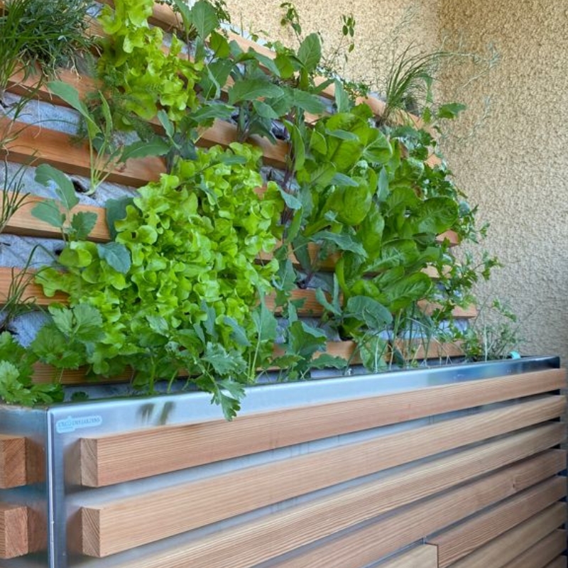 Conception potager balcon Genève