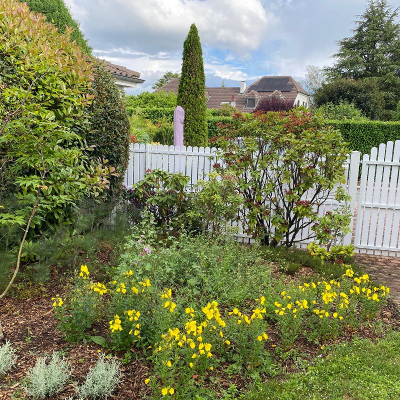 Conception paysagiste Genève