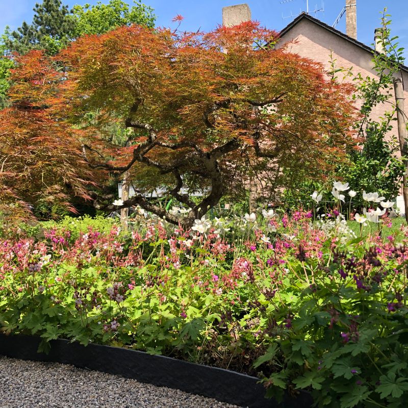 Joli jardin Genève